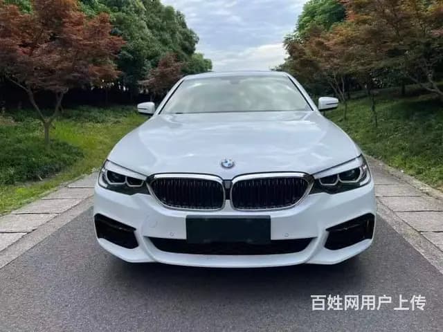 宝马5系 2020款 530Li 2.0T 手自一体   型 - 图片 1